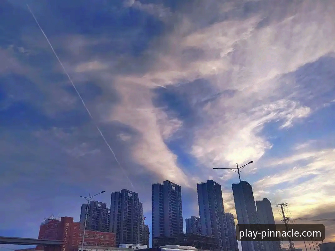 3个关键视角，深度解析意大利出局背后的平博投注技巧攻略